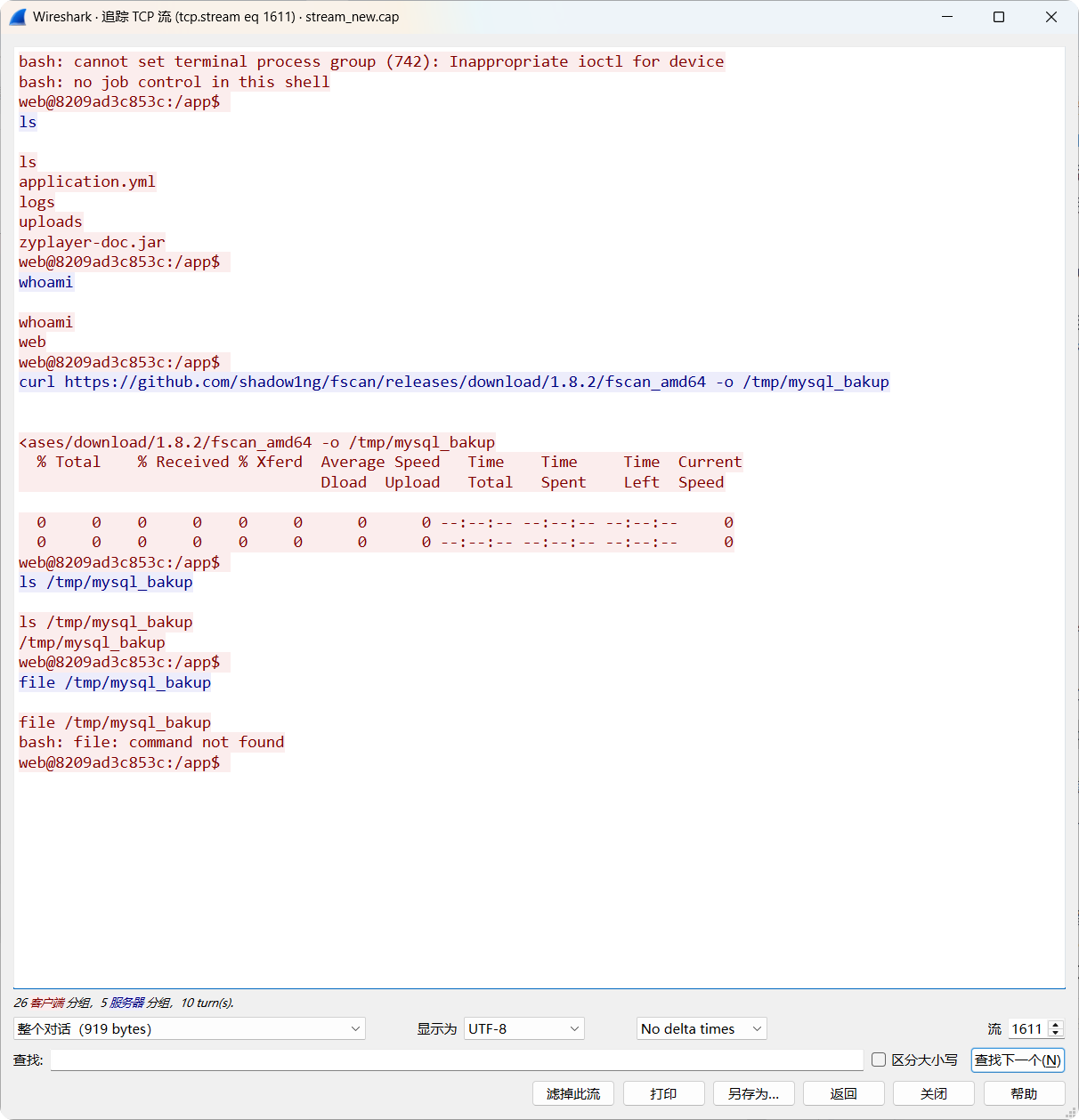 longjincup_2023_tcpdump_5